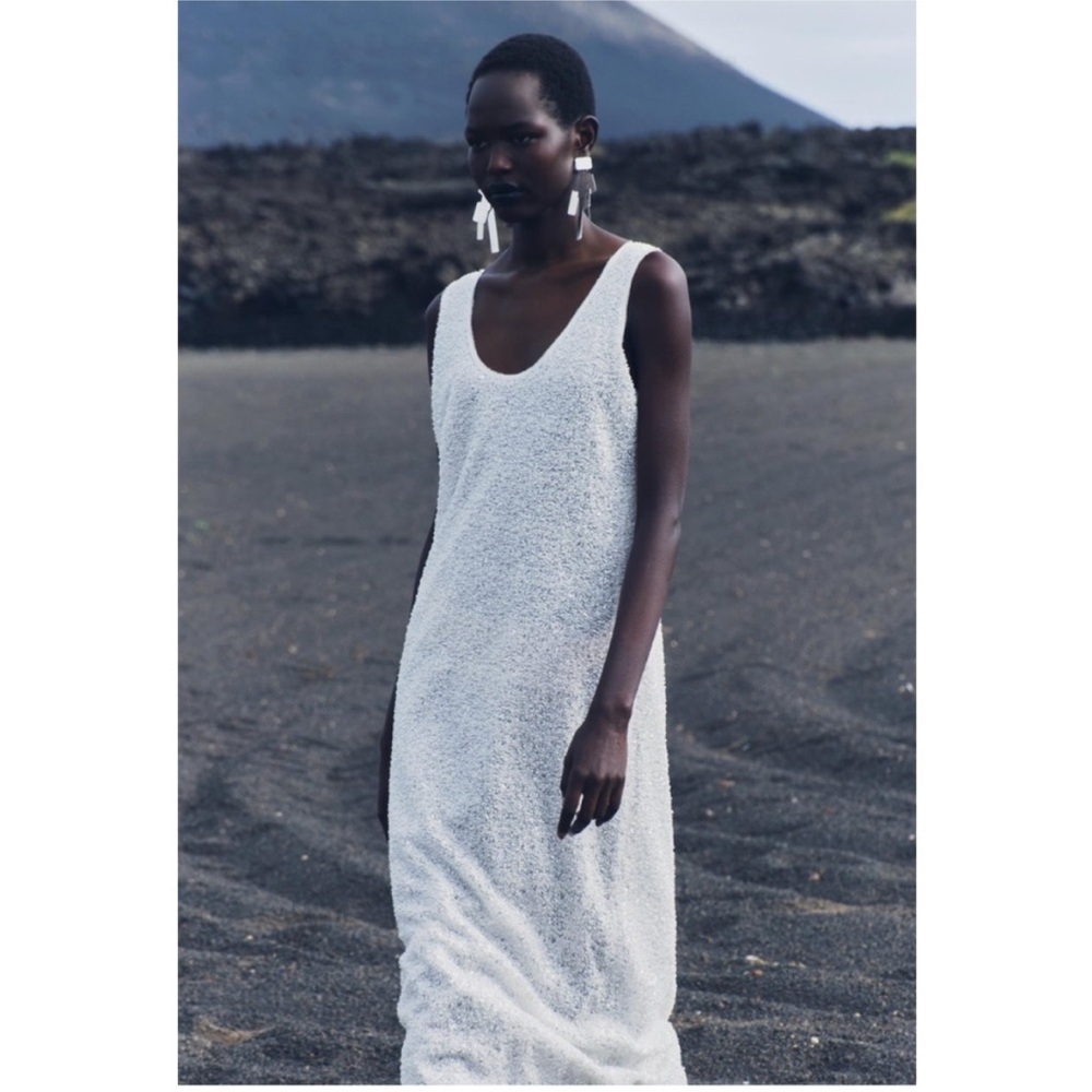 Rare beaded Zara dress NWT